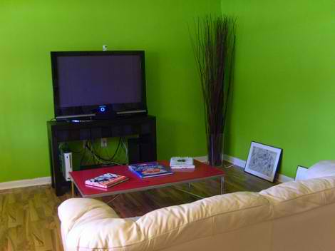 2011 Wall Colors For Living Rooms 6